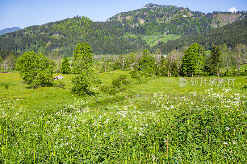 Zgornje Jezersko山谷在春天的景色
